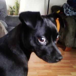 Meet your Posher, Tamara